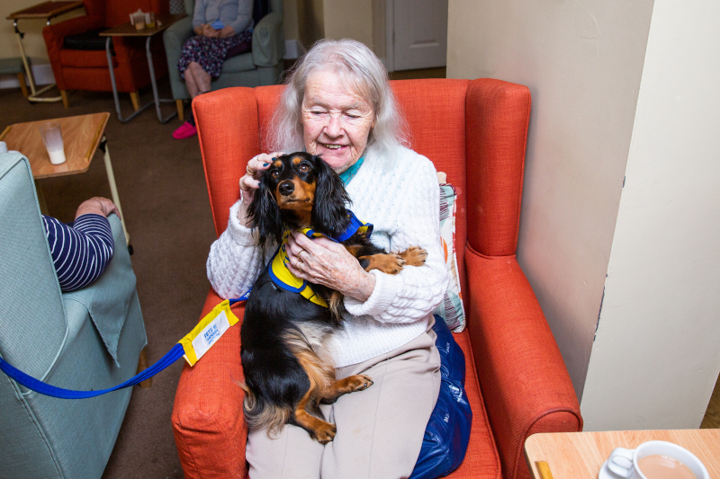 Resident enjoying visiting PAT dog